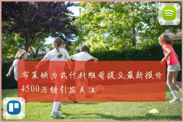 布莱顿为武什科维奇提交最新报价4500万镑引发关注