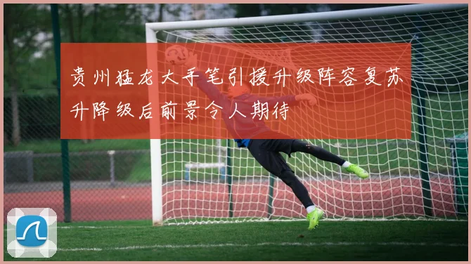 贵州猛龙大手笔引援升级阵容复苏升降级后前景令人期待